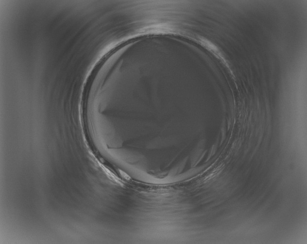 X0000060261334200511241417