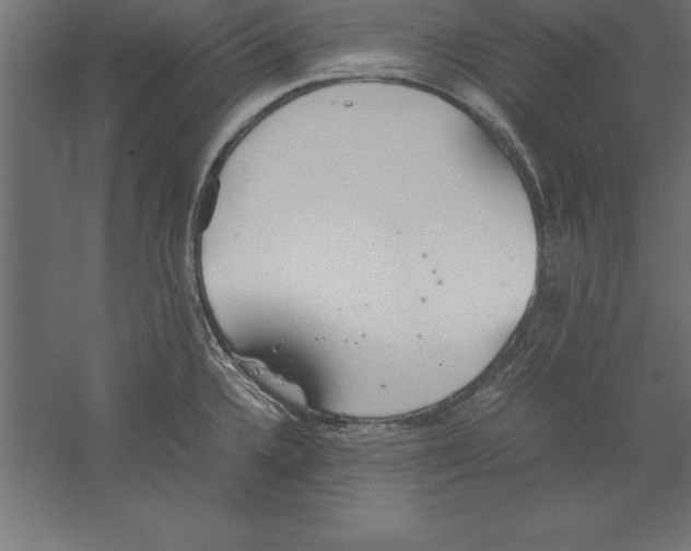 X0000060261336200511241417