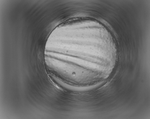 X0000060261337200511241417