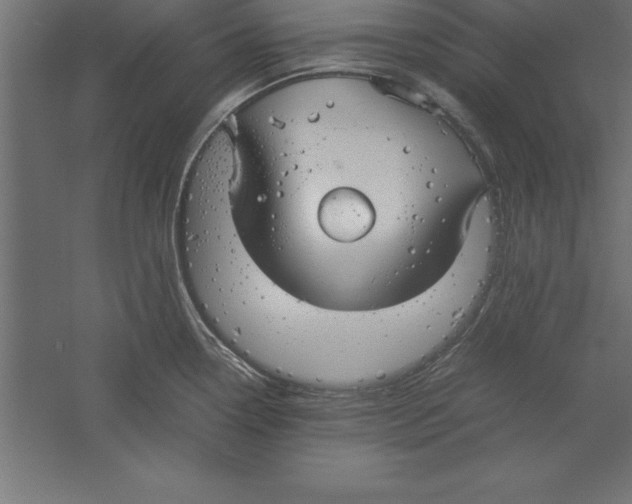 X0000060261338200511241417