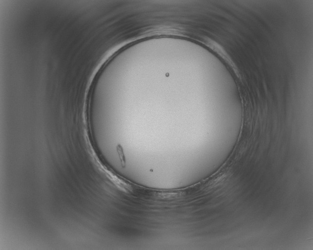 X0000060261339200511241417