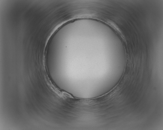 X0000060261340200511241417