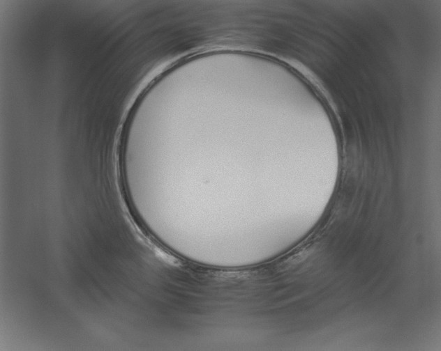 X0000060261341200511241417