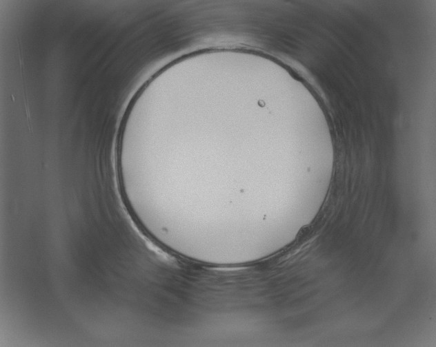 X0000060261343200511241417