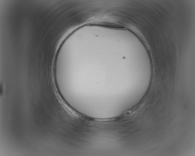 X0000060261344200511241417