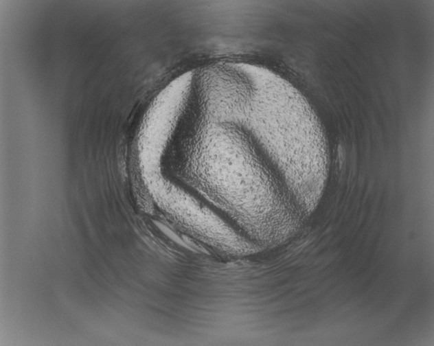 X0000060261348200511241416