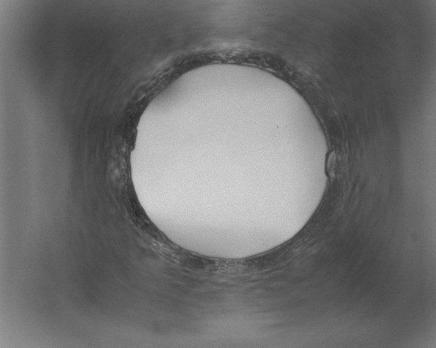 X0000060261349200511241416