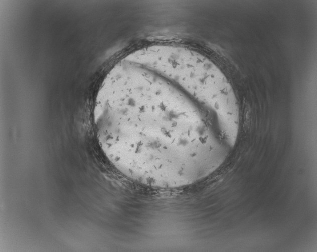 X0000060261350200511241416