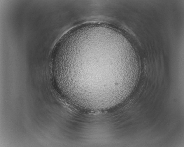 X0000060261352200511241416