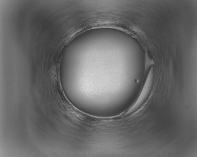 X0000060261353200511241416