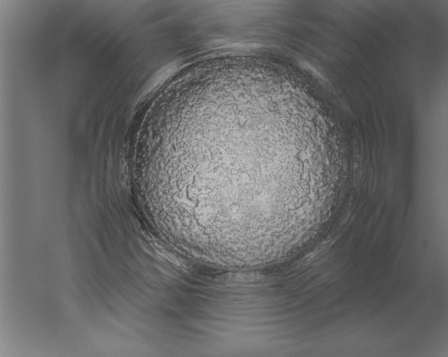 X0000060261354200511241416