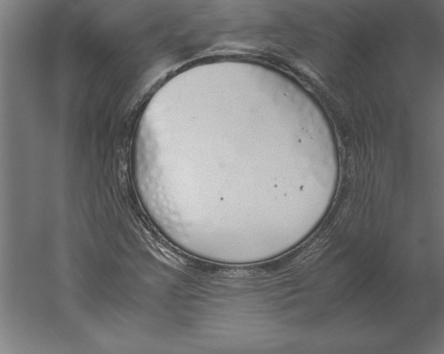 X0000060261355200511241416