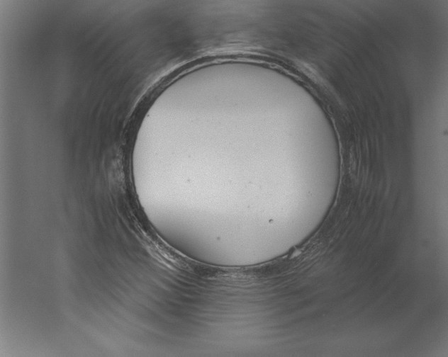 X0000060261356200511241416