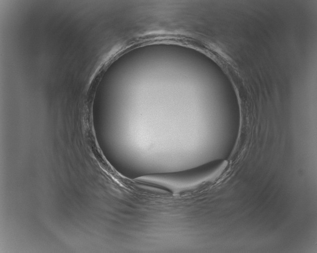 X0000060261357200511241416