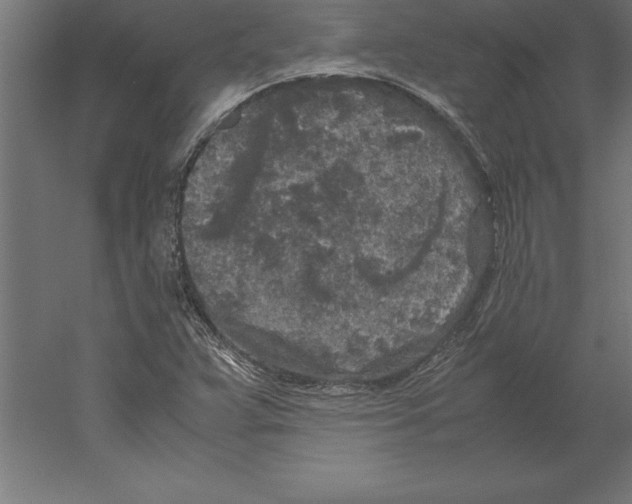 X0000060261359200511241416