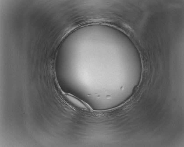 X0000060261361200511241416