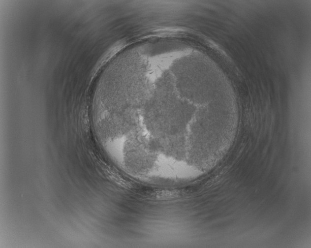 X0000060261362200511241416