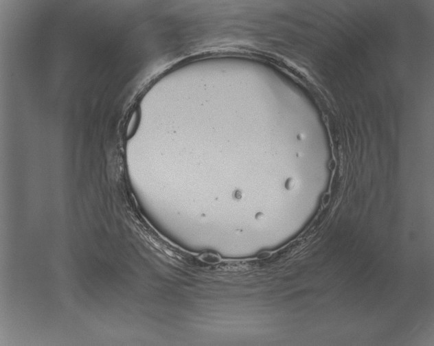 X0000060261363200511241416