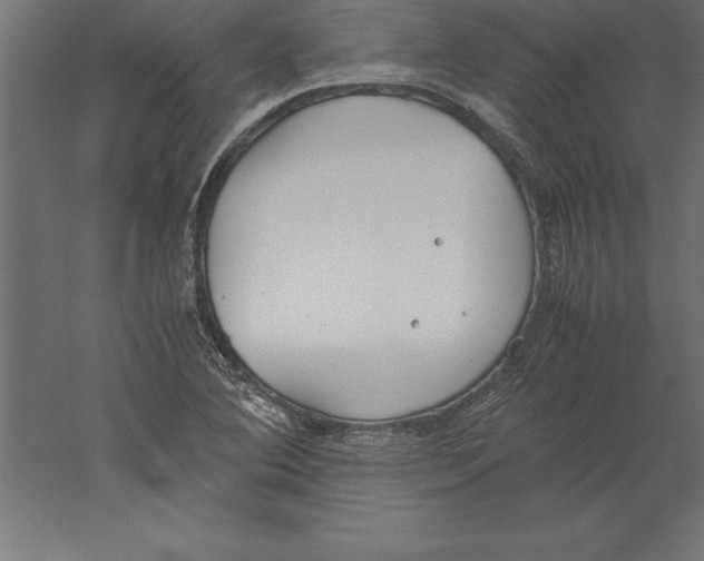 X0000060261364200511241416