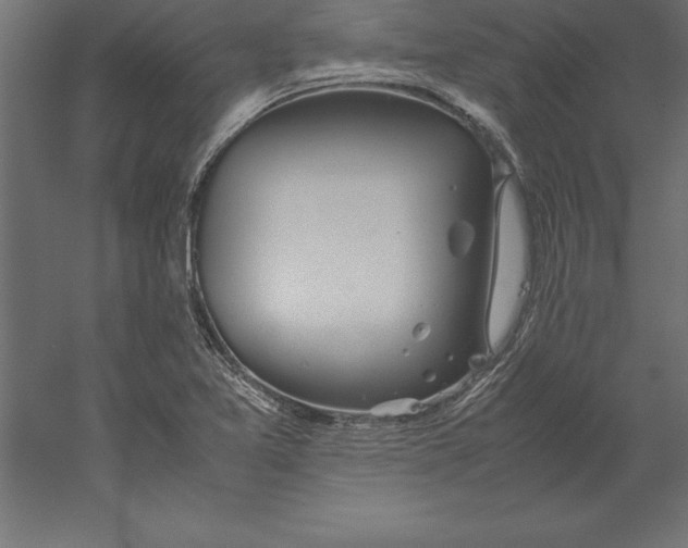 X0000060261365200511241416