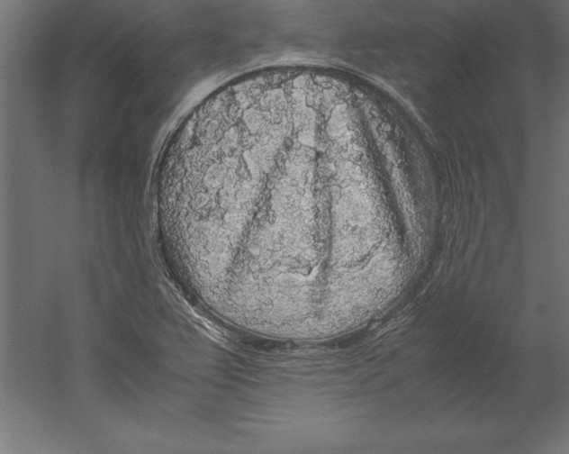 X0000060261367200511241416