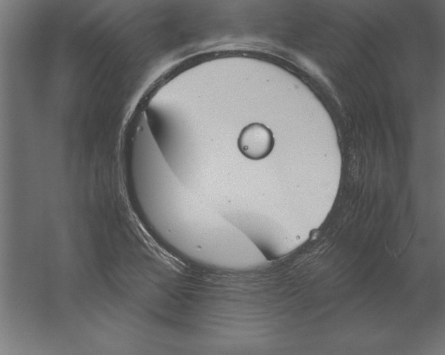 X0000060261368200511241416