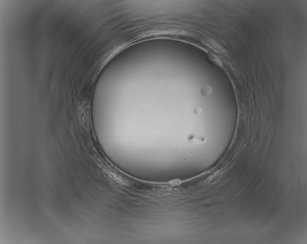 X0000060261369200511241416