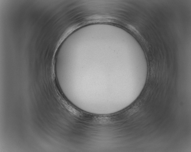 X0000060261370200511241416