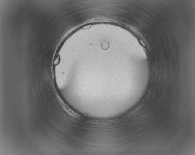 X0000060261372200511241416