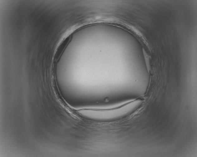 X0000060261373200511241416