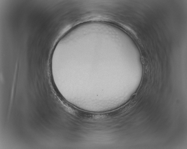 X0000060261375200511241416