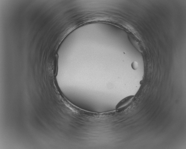 X0000060261377200511241416