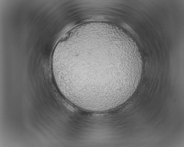 X0000060261378200511241416