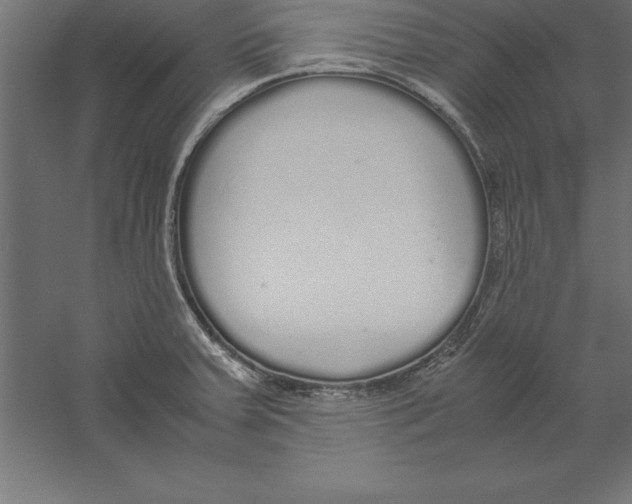 X0000060261379200511241416