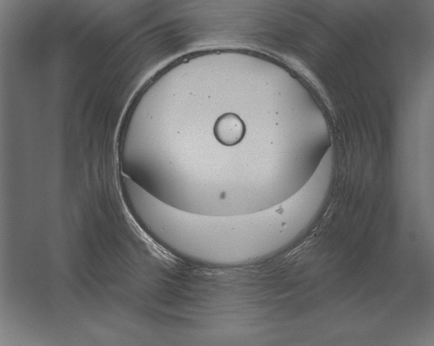 X0000060261380200511241416