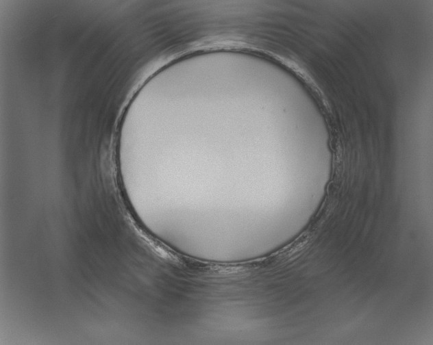 X0000060261382200511241416