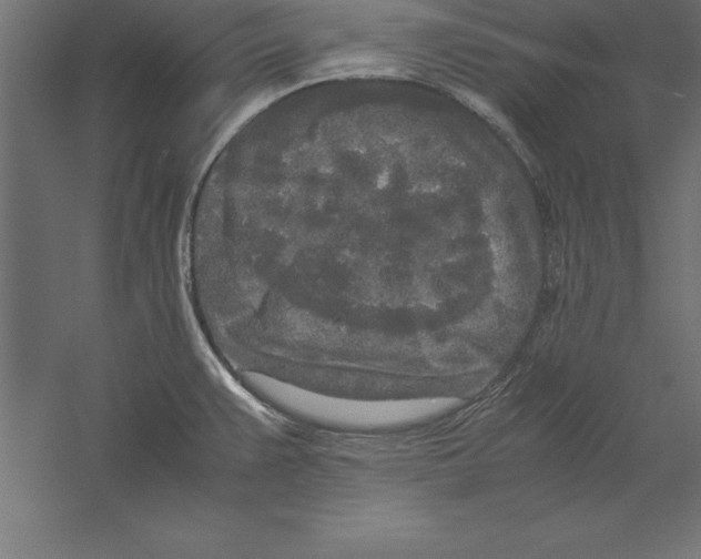 X0000060261383200511241416