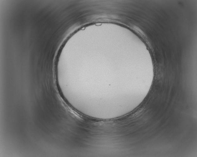 X0000060261384200511241416