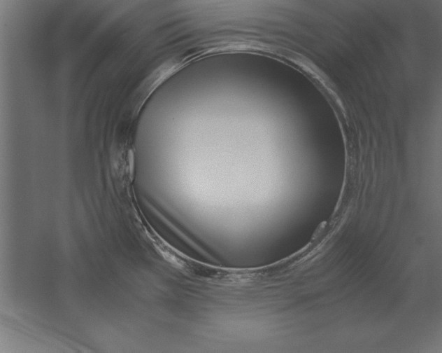 X0000060261385200511241416