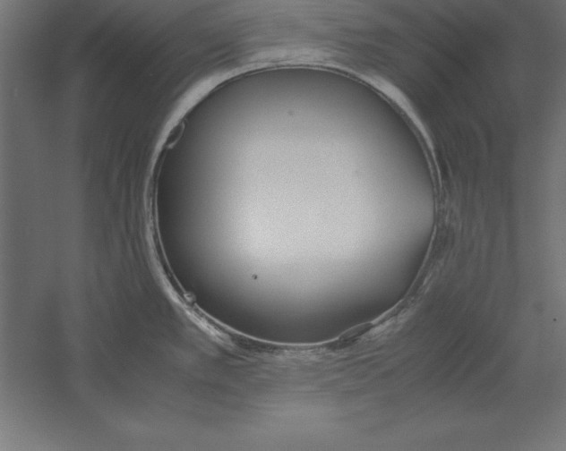 X0000060261389200511241416