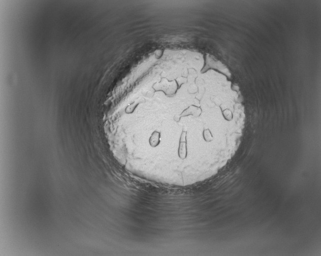 X0000060261393200511241415