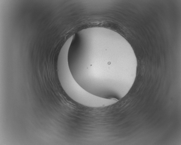 X0000060261394200511241415