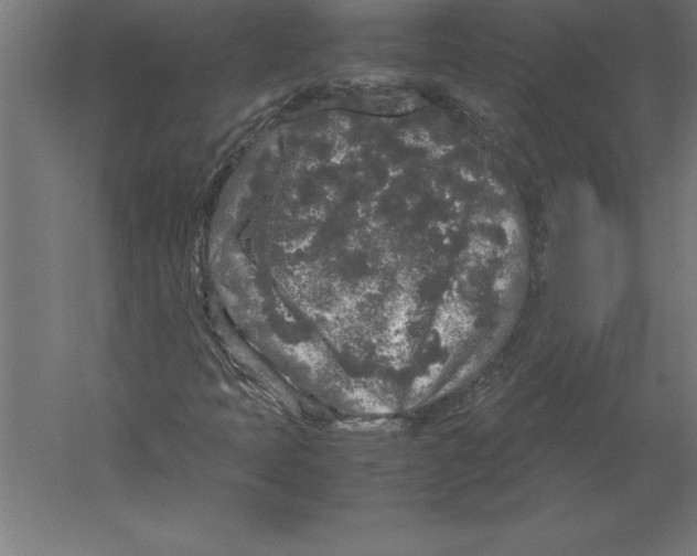 X0000060261397200511241415