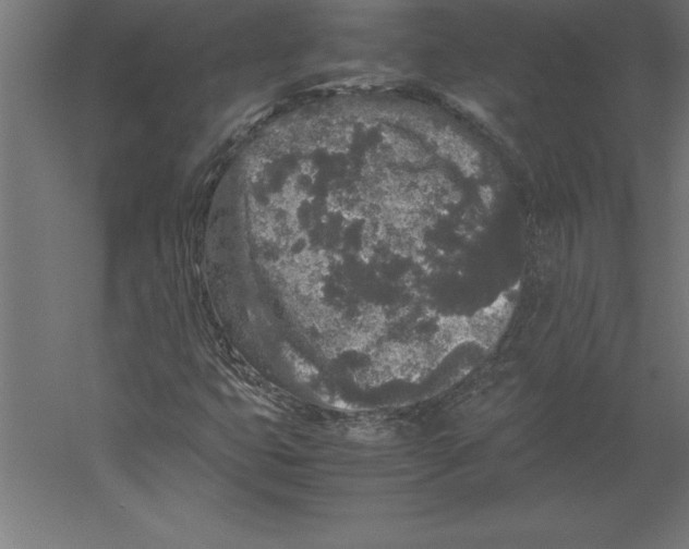 X0000060261399200511241415