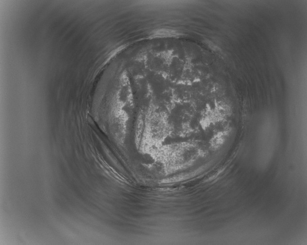 X0000060261401200511241415