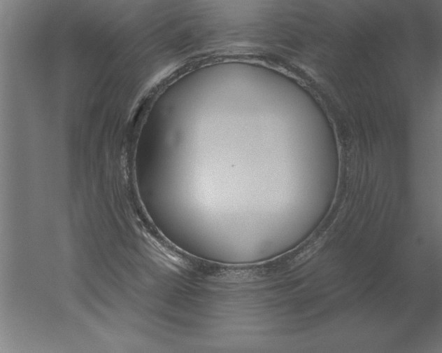 X0000060261402200511241415