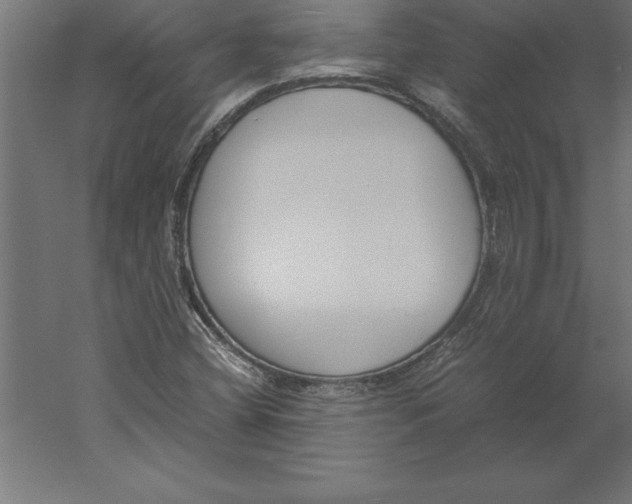 X0000060261404200511241415