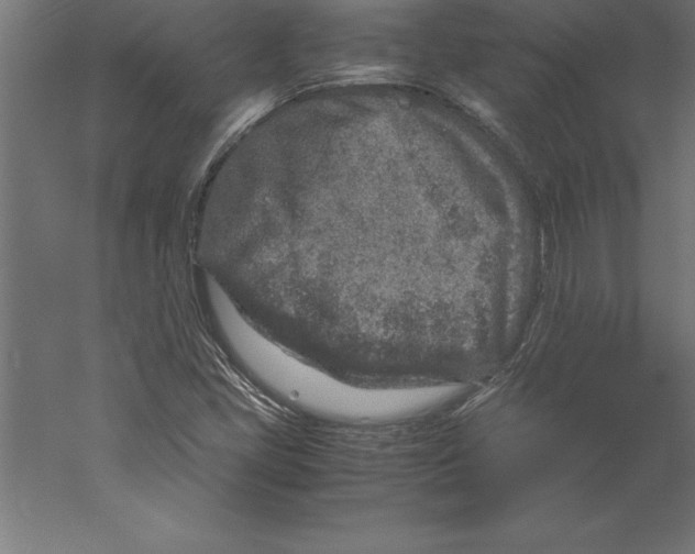 X0000060261405200511241415