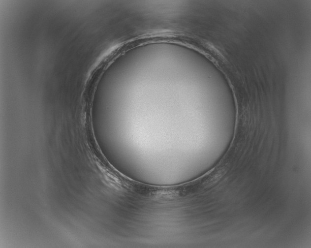 X0000060261406200511241415