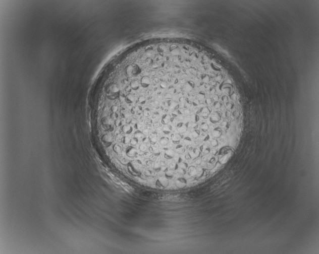 X0000060261408200511241415